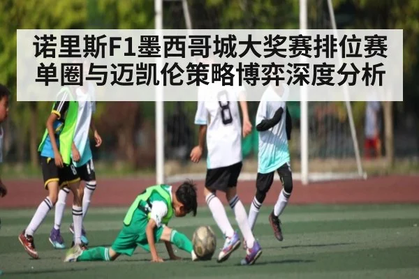 诺里斯F1墨西哥城大奖赛排位赛单圈与迈凯伦策略博弈深度分析