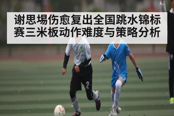 谢思埸伤愈复出全国跳水锦标赛三米板动作难度与策略分析